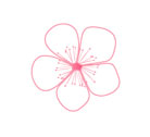 blossom