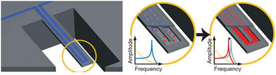 Biomolecular Detection image